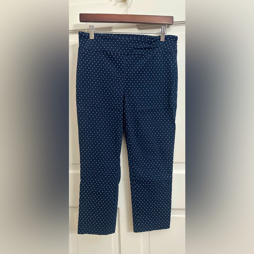 Attyre Navy &White Polka Dot Pull On Pants